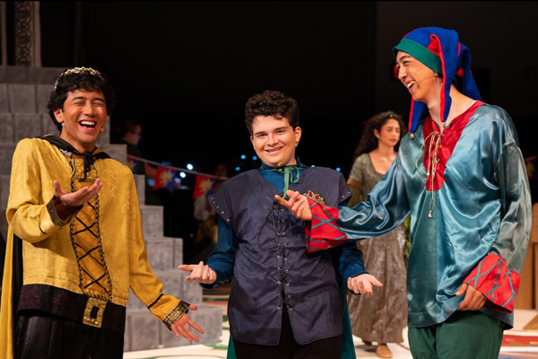 Once Upon A Mattress 2025